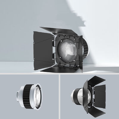 F10 Fresnel Lens Universal Bowen Mounts Studio Light Condenser for Photography Light fornitore