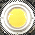 Chip della luce del LED fornitore