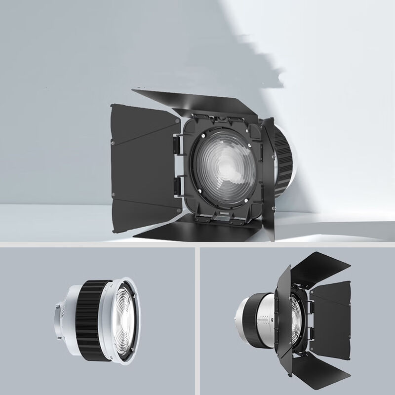 F20 Fresnel Lens Universal Bowen Mounts Studio Light Condenser for Photography Light fornitore